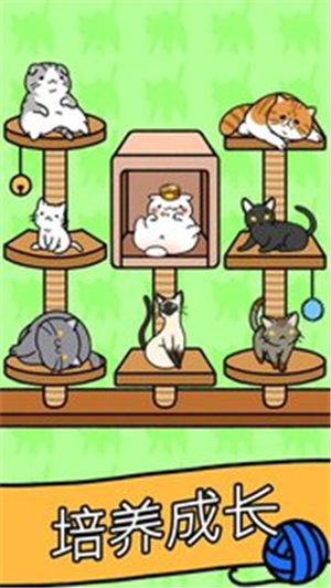 猫咪公寓安卓最新版 /><span class=