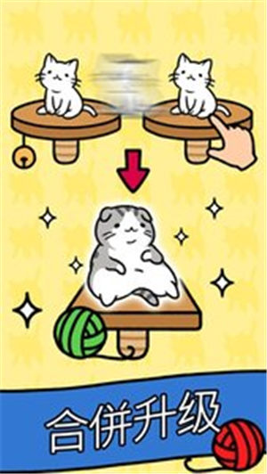 猫咪公寓最新版下载 /><span class=